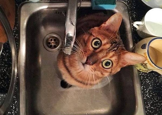 У Нововолинську будинок залишили без води