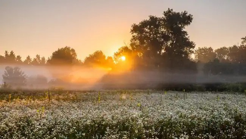 Невеликий дощ і гроза у низці областей: прогноз погоди на 5 липня