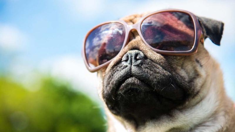 Тепло та без опадів: прогноз погоди на 11 вересня