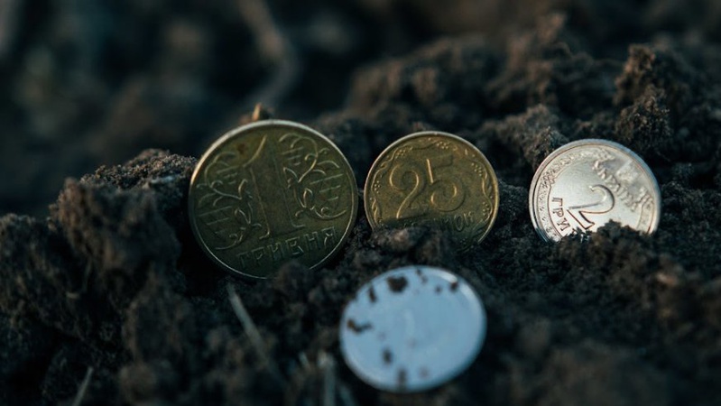 Західні області України стали лідерами за ціною сільгоспземель влітку