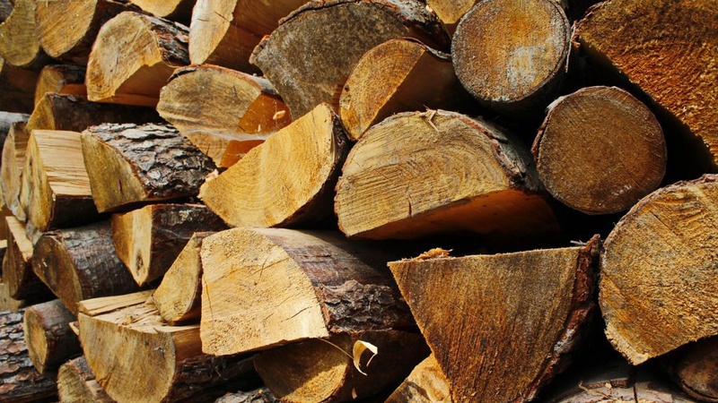 На Волині судитимуть двох чоловіків за злочини проти довкілля