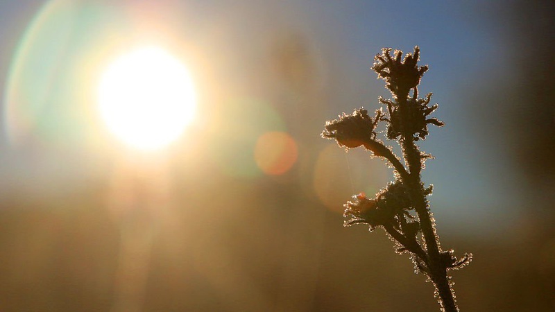 Чи потепліє в Україні на вихідні: прогноз погоди на 7-8 серпня
