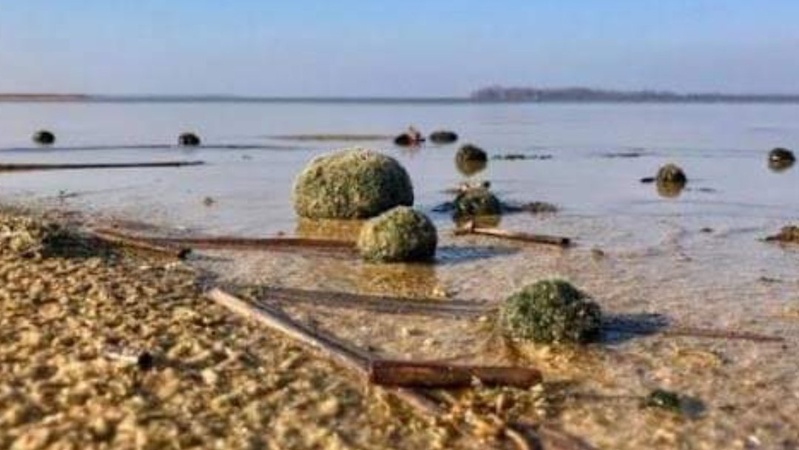 На Волині виявили браконьєрів, які руйнують екосистему озера Світязь