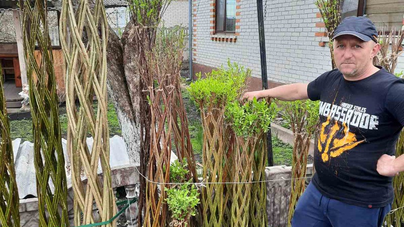 Пальма із верби: волинянин плете декоративні дерева із вербових гілок