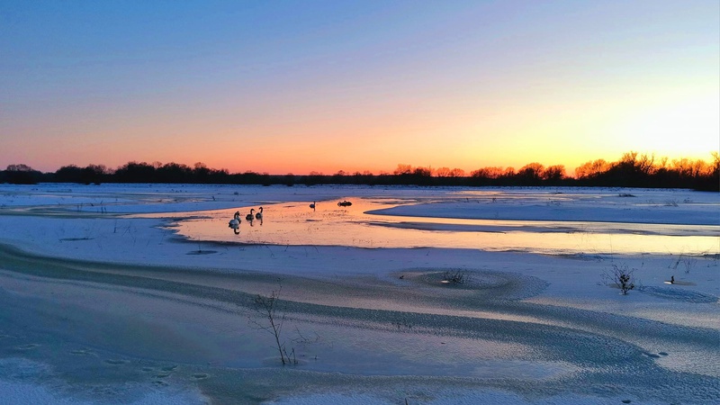 Опублікували зимові фото однієї з громад на Волині