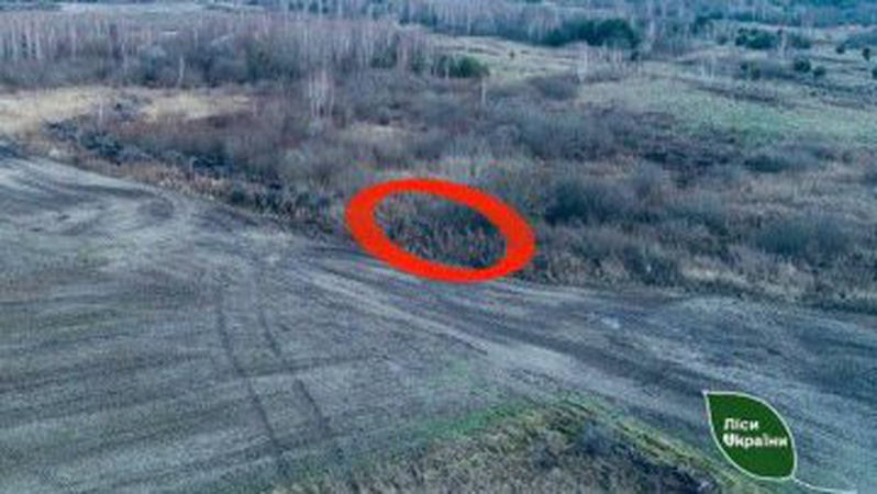 На Волині браконьєри вбили козулю і намагалися уникнути відповідальності