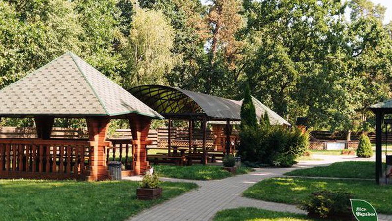 Ківерцівське лісництво визнали найкращим в Україні