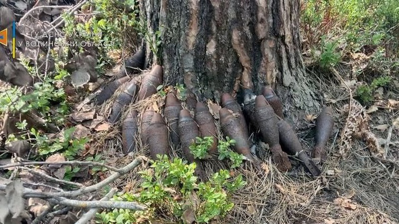 На Волині місцеві виявили арсенал боєприпасів часів минулої війни
