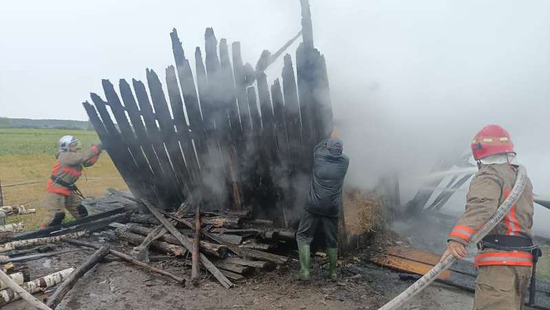 На Волині через грози сталися чотири пожежі