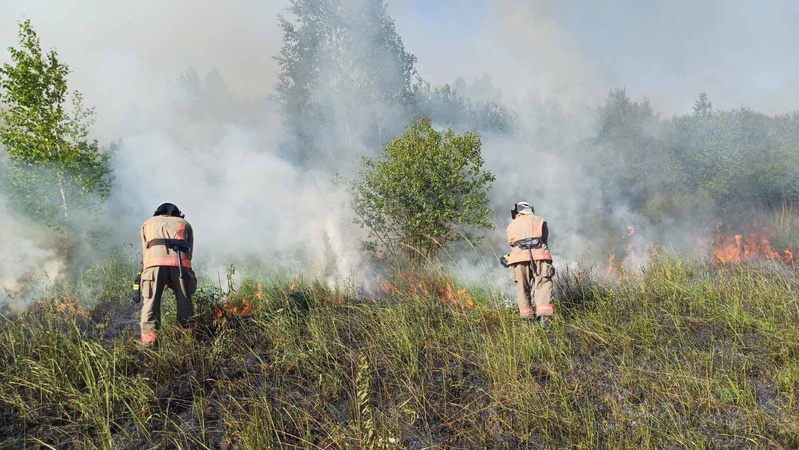 Горів сухостій та будівлі: минулої доби в області стались 3 пожежі