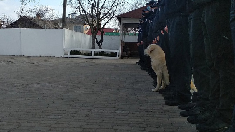 Луцькі патрульні врятували собаку, якого розшукував господар