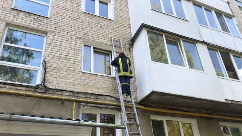 У Володимирі на стіні будинку оселився рій диких бджіл