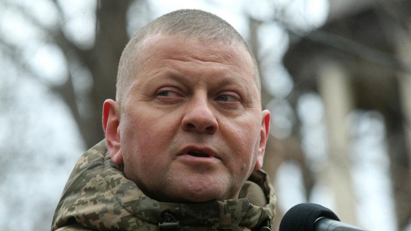 Залужний: ми не маємо права перекласти цю війну на наших дітей