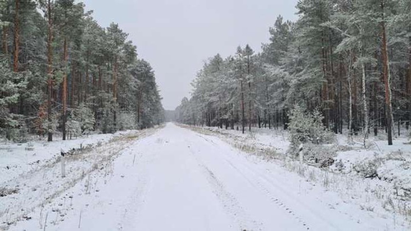 На Волині випав сніг