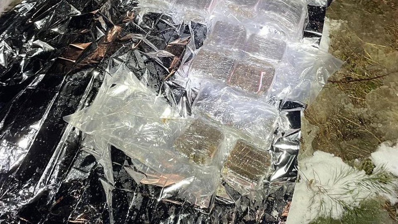 СБУ на Волині ліквідувала канал контрабанди наркотиків. ФОТО