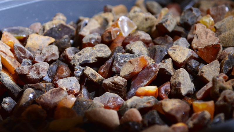 Судили волинянина, який хотів перевезти через кордон 13 кг бурштину