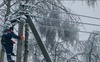 На Волині через негоду – значні обриви ліній електропередач: у регіоні масові знеструмлення