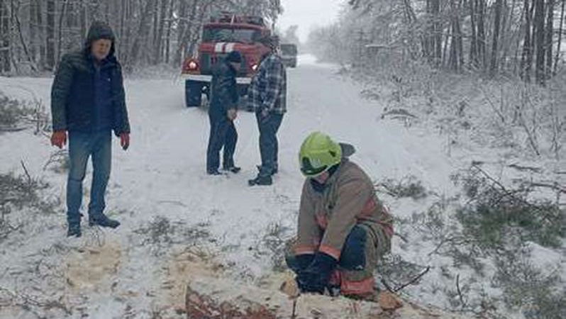 Заблокувало рух транспорту: у Луцькому районі на дорогу впало дерево