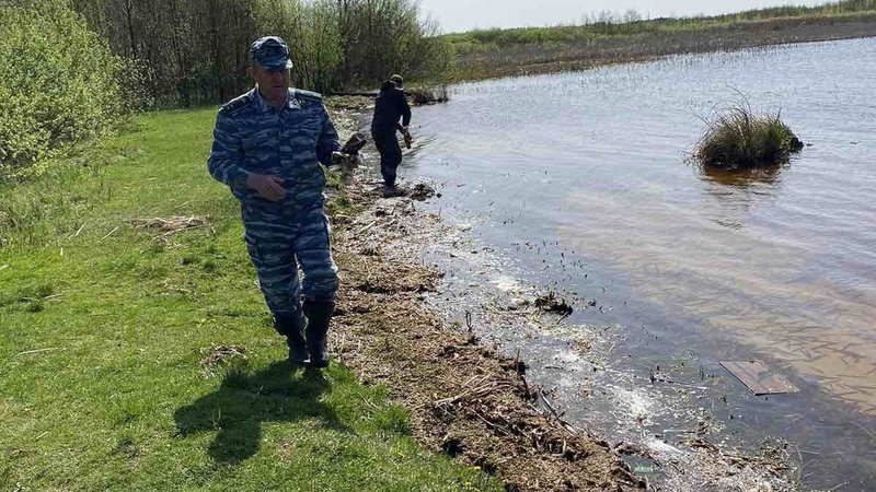 У нацпарку на Волині почистили береги Прип’яті та Стоходу. ФОТО