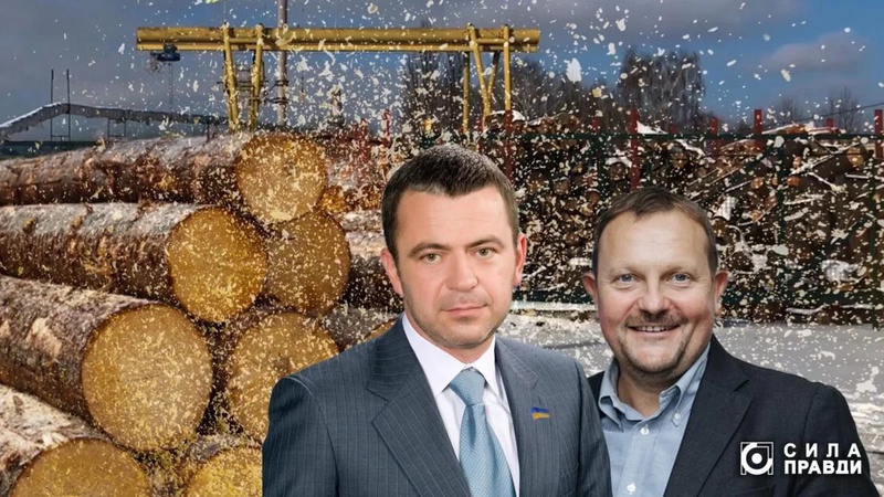 Деревообробна фірма волинського екснардепа роками працювала напівлегально