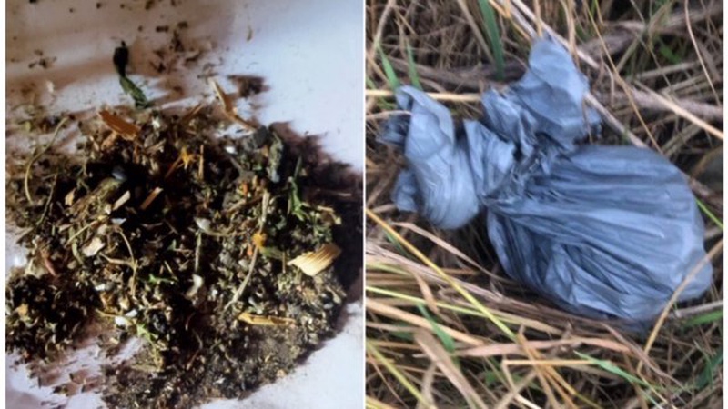 Судитимуть волинянина, який розповсюджував канабіс через закладки