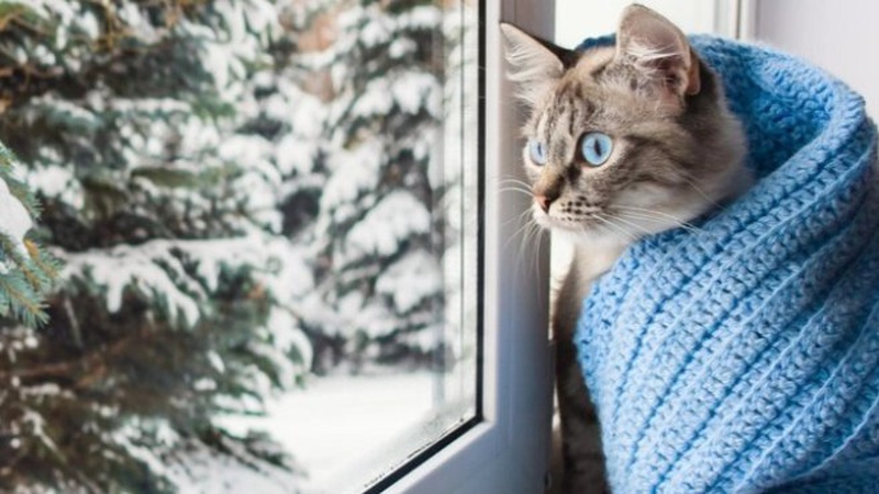 В Україні оголошено штормове попередження: карта і прогноз на 4 лютого