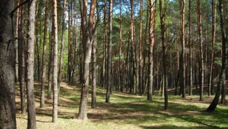 На Волині повернули у власність держави земельну ділянку вартістю 95 мільйонів