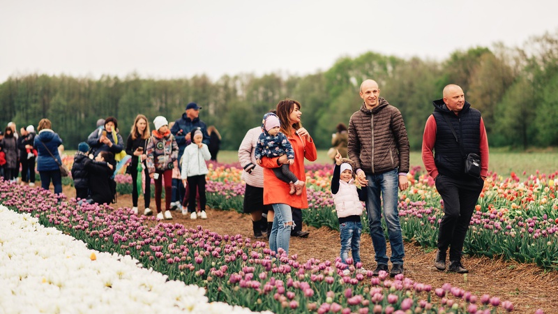 Фестиваль «Волинська Голландія»: коли стартує, скільки коштує і як доїхати