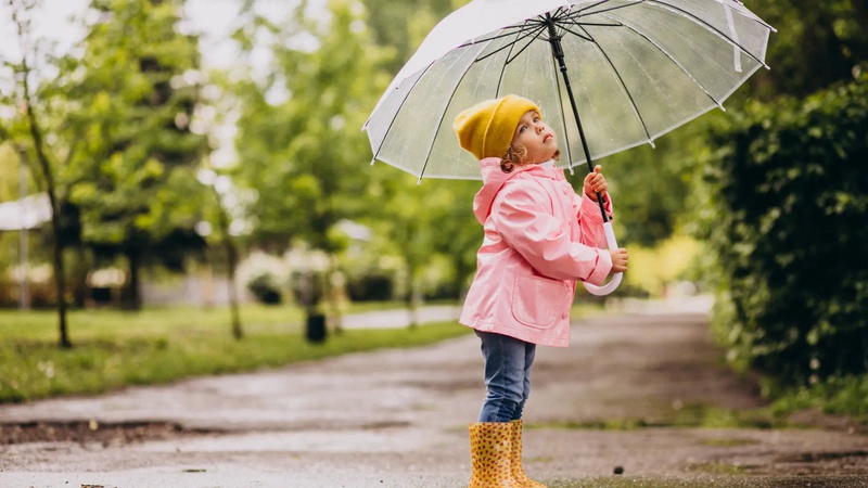 В Україні у понеділок – дощі, подекуди з грозами
