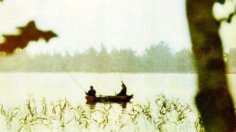 50 років тому: показали ретрофото з відпочинку на Світязі