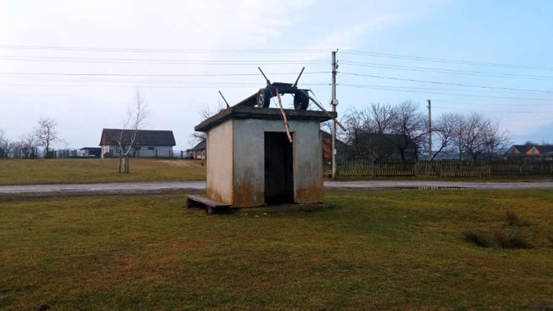 Віз на зупинці та туалет на дорозі: на Старовижівщині відсвяткували Щедрий вечір. Фото