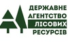 Волиняни вдруге не змогли зайняти керівні посади в Держлісагентстві України