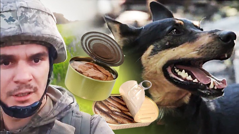 Собака Жужа врятувала військового з Волині та його побратимів