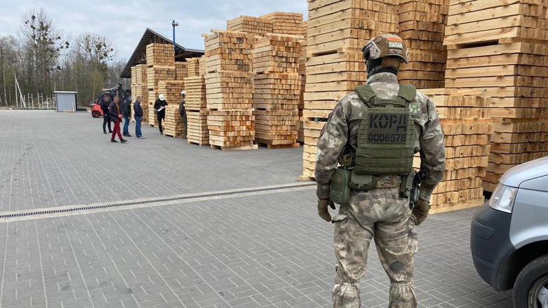 Обшуки на Ковельщині: керівника деревообробного підприємства підозрюють у незаконних порубках