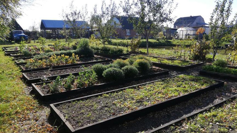 Жителям Волині розповіли про секрети «розумних» грядок