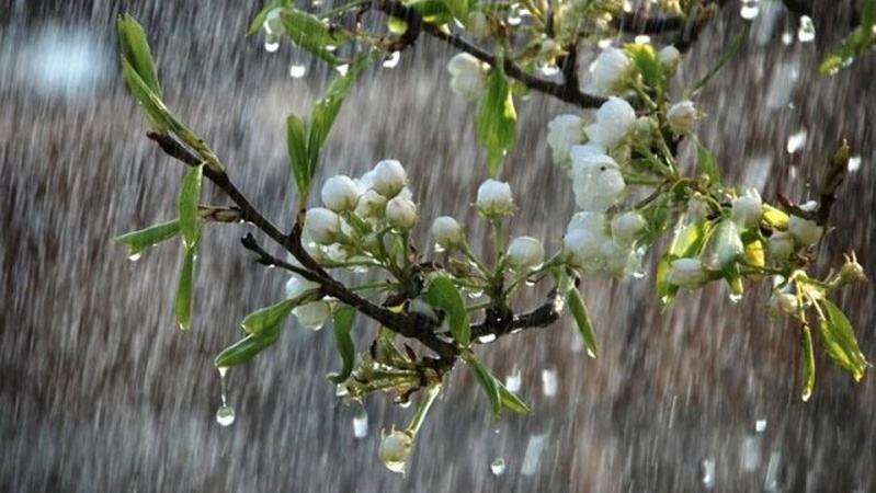 Квітень не поспішає дарувати сонячні промені: прогноз погоди на 2 квітня в Україні