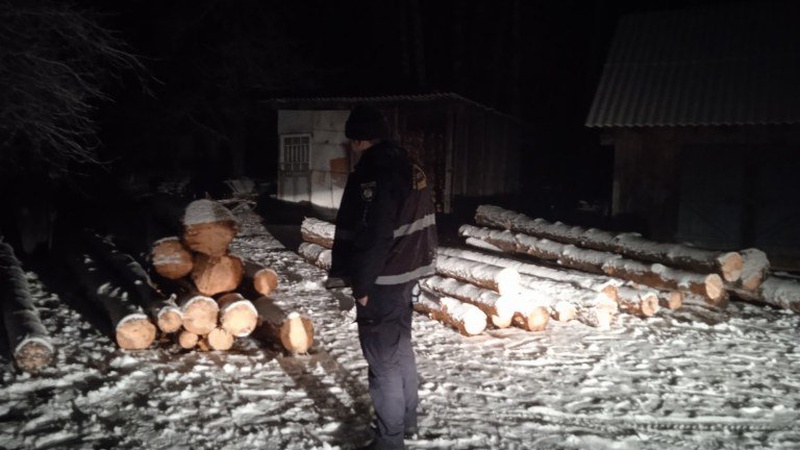 На Волині лісопорушники, втікаючи, підкинули деревину у чужий двір