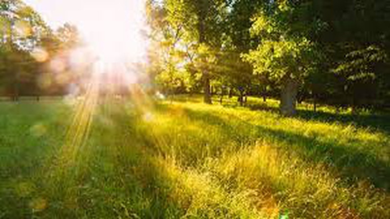 Якою буде погода на Волині на День Конституції