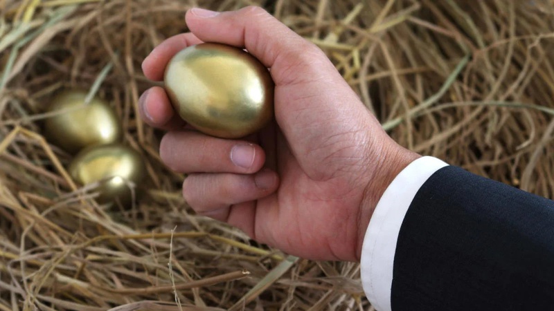Селищна рада на Волині мала намір закупити «золоті» яйця