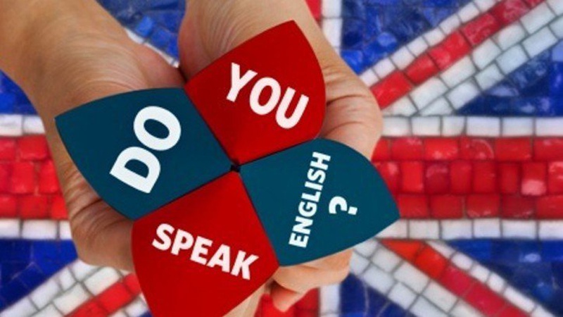 Позиція Прем’єр-міністра щодо закону про особливий статус англійської мови — антиукраїнська, — Лариса Ніцой