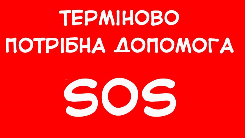 Сім’я волинян, яка потерпає від домашнього насильства, просить про допомогу
