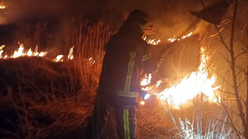 На Волині невідомі підпалили суху траву: загорілося тридцять соток сухостою