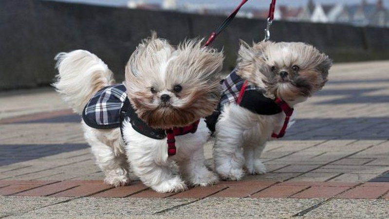 Волинський гідрометеоцентр попереджає про небезпеку