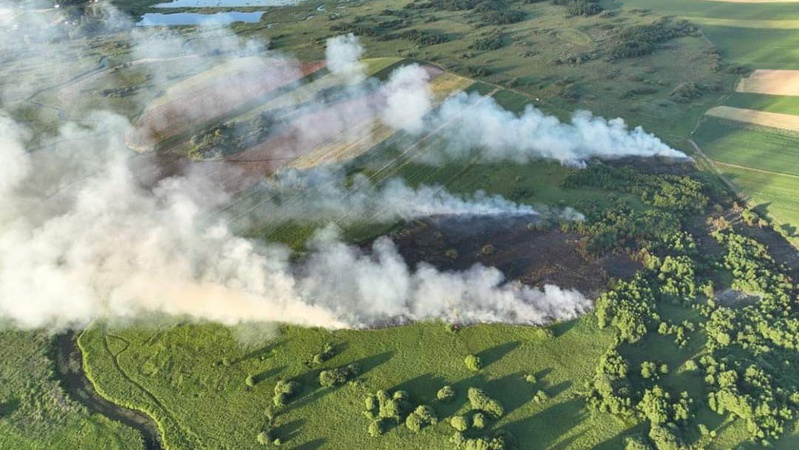 Волинські рятувальники ліквідували пожежу площею понад 2 гектари