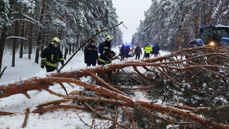 На Маневиччині через негоду дорогу перегородило дерево