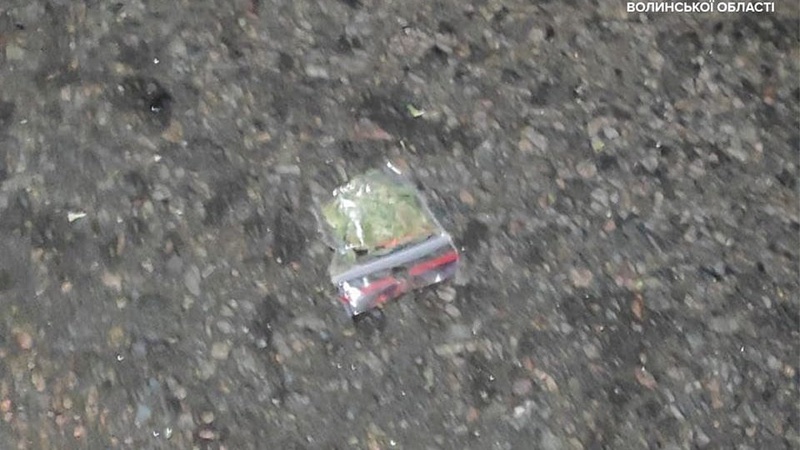 На Волині двоє чоловіків під наркотиками глузували з поліцейських