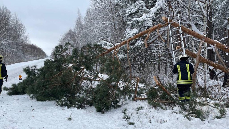 Через нічну негоду волинські рятувальники проводили аварійні роботи