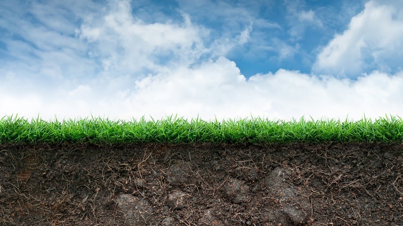 На Волині суд забрав у жінки 2 гектари землі вартістю 27 мільйонів