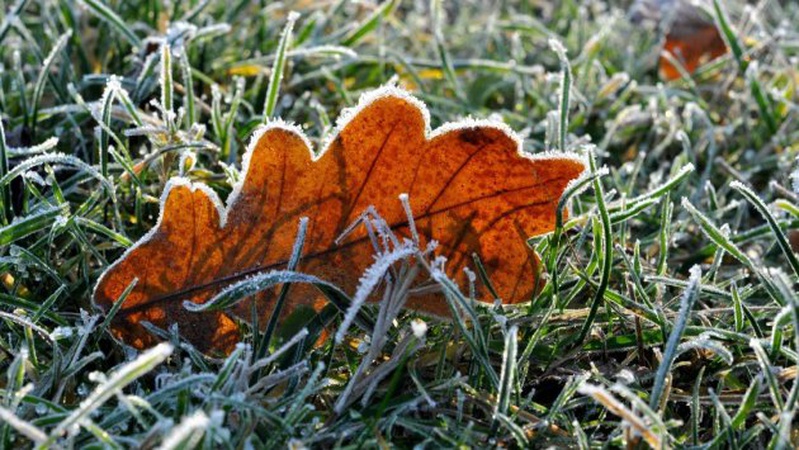 «Помаранчевий» рівень небезпечності: у Луцьку очікують сильні заморозки