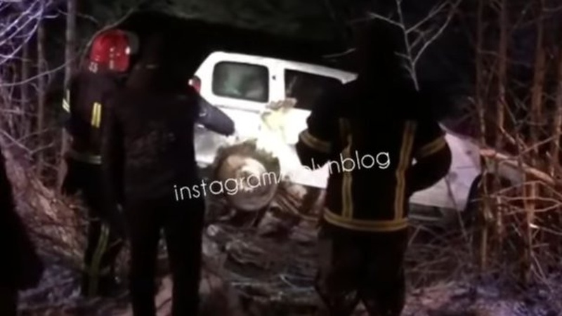 ДТП на Волині: автомобіль злетів у кювет і перекинувся